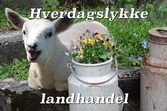 Hverdagslykke landhandel